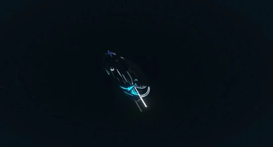 Merkloos Rood Licht Therapie Lamp | Diep Rood/NIR | Phipower - Afbeelding 2