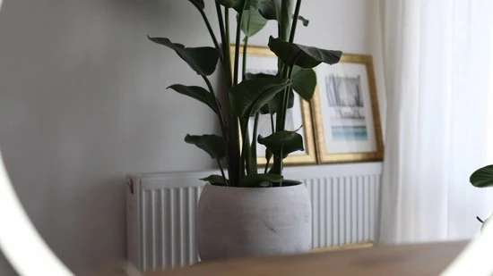 LIROMA® Daglichtlamp - Gratis Opberghoes - ⌀ 32 - 10.000 LUX - USB Poort - 3 Kleuren - Bureaulamp - Lichttherapielamp - Lichttherapie - Black Friday 2022 Deals - Afbeelding 2