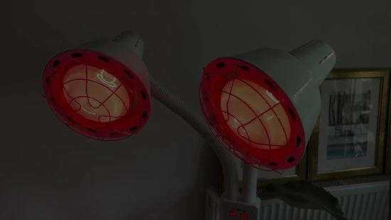 LIROMA? 600W Infraroodlamp - Hoogte Verstelbaar - Timer - Remote - Infraroodtherapie - Lichttherapie - Fibromyalgie - Pijnverlichting Spieren ? Collageen Lamp ? Warmtelamp - Rood Licht Therapie - Philips - Black Friday 2022 Deals - Afbeelding 2