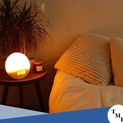 The Modern Human? EASY WAKE WIFI - Hoge Kwaliteit Wake Up Light Wifi - Inclusief Gratis App - Strak Design - Verbinding Met Google Home En Alexa - Natuurlijke Geluiden En FM Radio - USB Oplader - Slaaptrainer - Slaaphulp - Ook Franse Handleiding -Beurer store 550x519 4