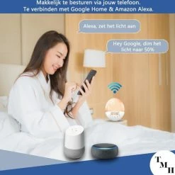 The Modern Human? EASY WAKE WIFI - Hoge Kwaliteit Wake Up Light Wifi - Inclusief Gratis App - Strak Design - Verbinding Met Google Home En Alexa - Natuurlijke Geluiden En FM Radio - USB Oplader - Slaaptrainer - Slaaphulp - Ook Franse Handleiding -Beurer store 550x545 5