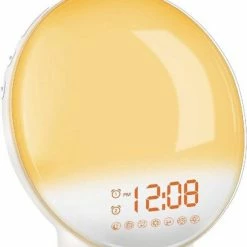 DistinQ Wake-Up Light ? Wekkerradio Met Dubbele Wektijd ? Slaaphulp Met USB Aansluiting